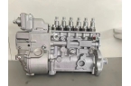 Exporting Fuel Injection Pump Assembly-P